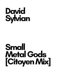 David Sylvian: Small Metal Gods (Citoyen Mix)