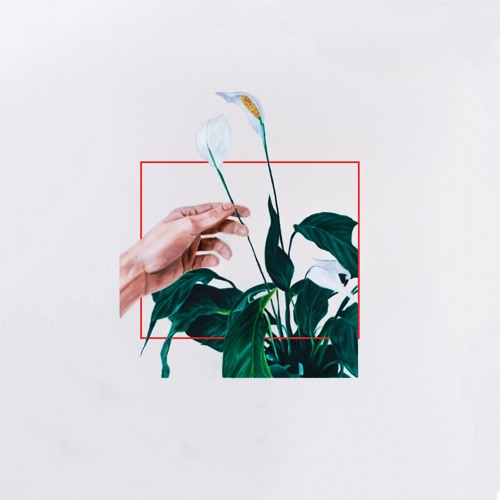 Cupid Youth - Roses
