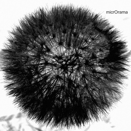 [Microrama] Wiklow - All The Mornings In The World