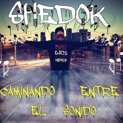 SHEDOK / ESTARÉ CONTIGO / MADRIGUERA REC