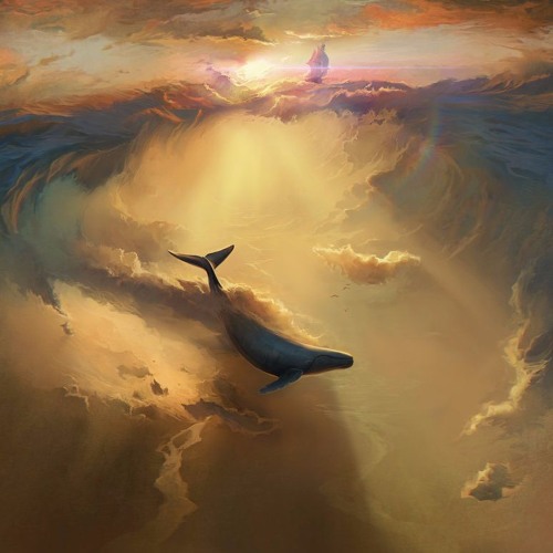 Aerial Promenade - Seagull Orchestra