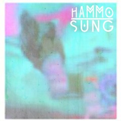 Rusko - Woo Boost (Hammo Sung Refix)