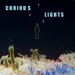 Curious Lights