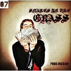 Snakes In The Grass (prod.mikcraw)