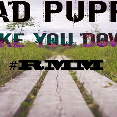 Sad Puppy - Take You Down (Radio Edit)