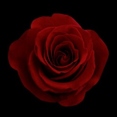 Down Bad (Prod. By Th3Source)