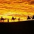 Artwork for Marco Polo - a Tribute to Loreena McKennitt