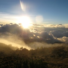 DJ Jocker - Hope Always Is