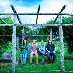 03 - The Great Decline