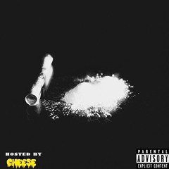 SYSTEM by FlynnAlKapone (Hosted By CheeseTheDj - Prod. KingMillim)