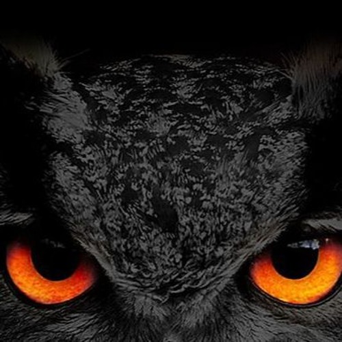 ミネルヴァの梟は黄昏に By Syamozi14