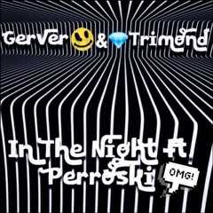 In The Night ft. Perroski (Gerver Mix)