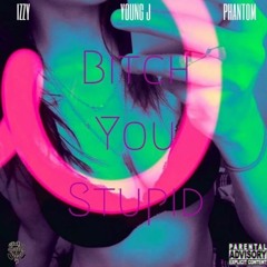 Phantom X Izzy X Young J - B*tch You Stupid (Prod. By NikoGotBangers)