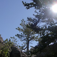 Supercomputer feat. Aneúma