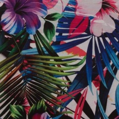 Quand c'est trop, c'est Tropical !