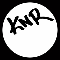 NETTO HOUZ - "RISING 2016" - KNR 010