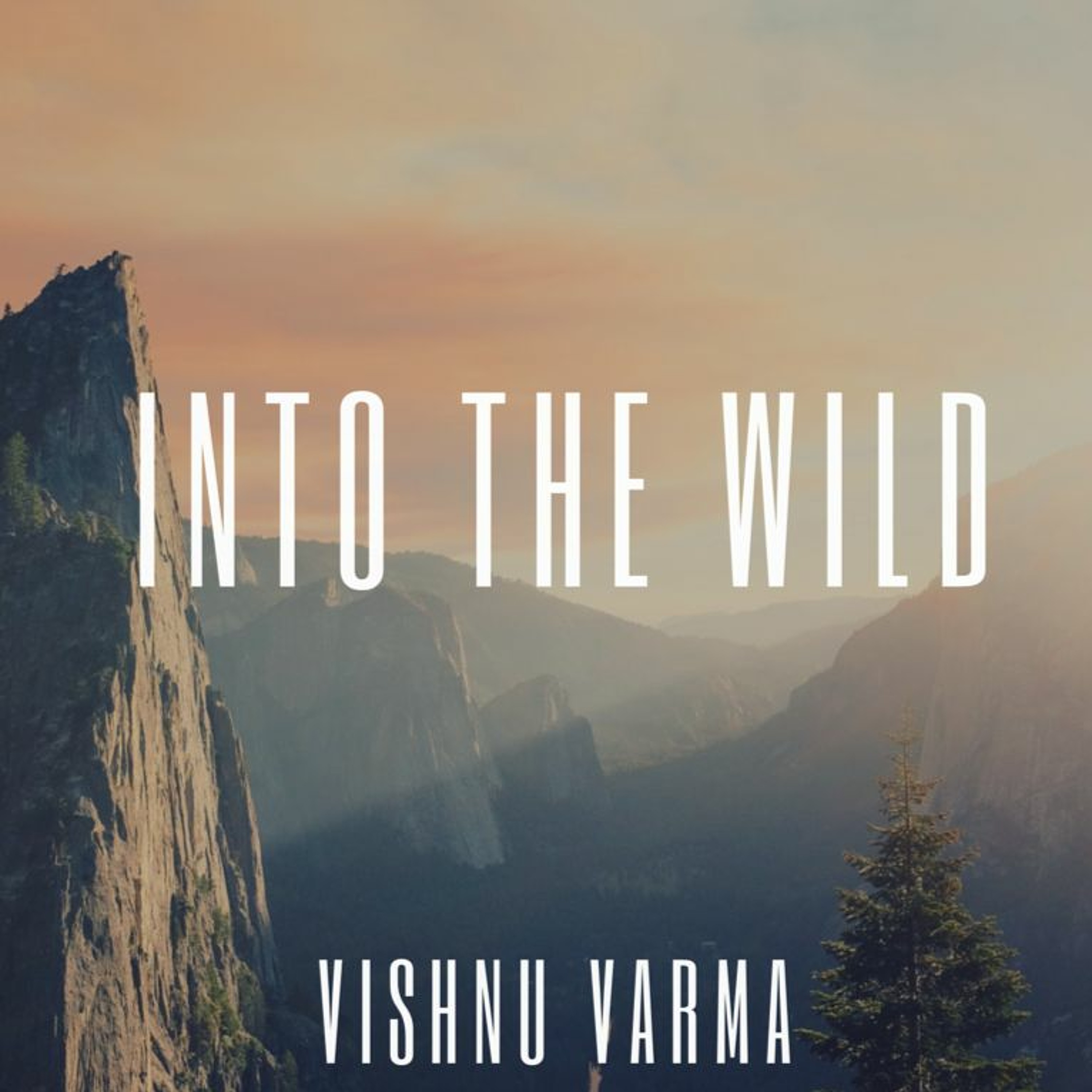Into The Wild episode artwork