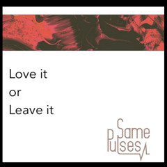 Love It Or Leave It (Same Pulses Edit)