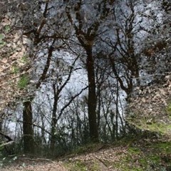 Light And Matter Stream
