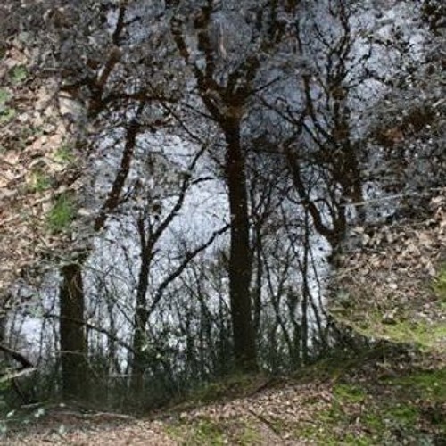 Light And Matter Stream