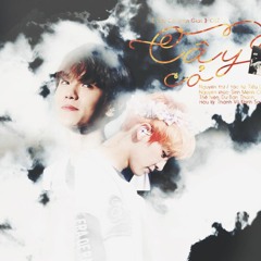 Cây Cỏ - (Cây Cỏ Nhân Gian) ChanBaek OST