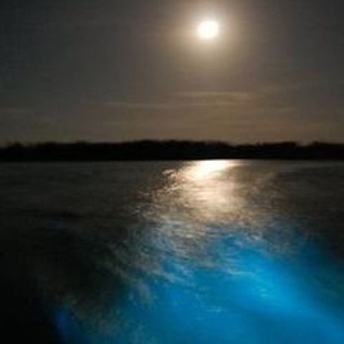 Djproject Lagoon (original Mix)