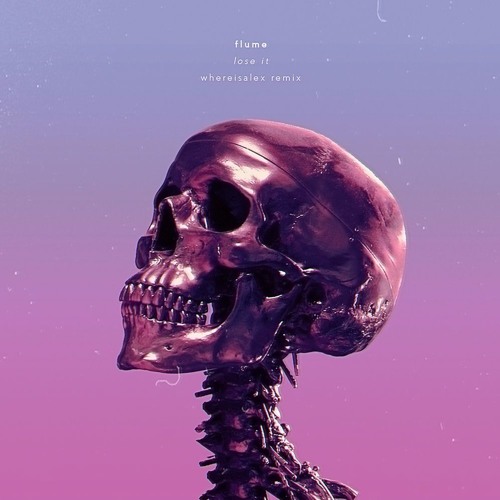 flume - lose it (flip)