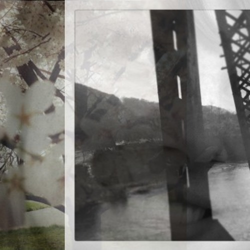 I Think You Were My Profile Picture Once