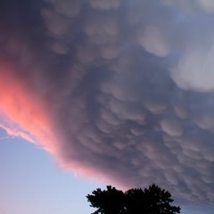 Wollmer - Nimbostratus Virga