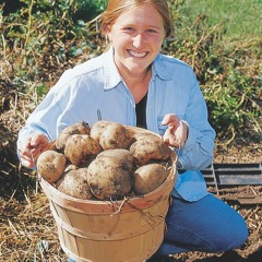 Wollmer - Planting Potatoes In The Land Of Rocks