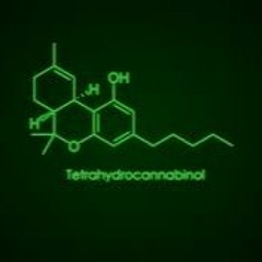 HIGHER FT B.A. (O.T.M)