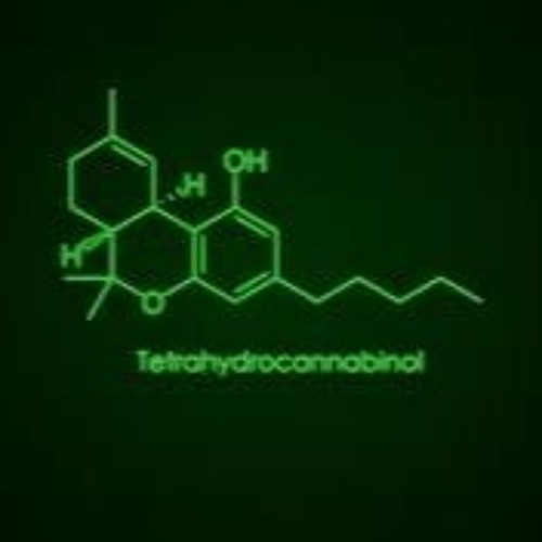 HIGHER FT B.A. (O.T.M)