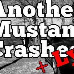 Another Mustang Crashed (Battle Hymn Of The Bro)