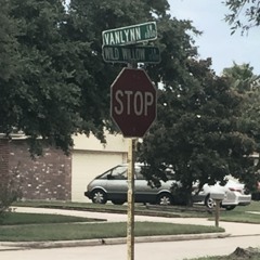 VANLYNN LN FREESTYLE