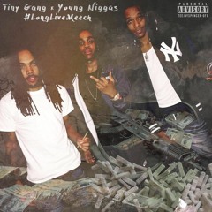 Young Niggas w/ MoneyMakinMeech & Mufasa (Prod. by cashmoneyap)