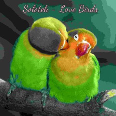 Solotek - Love Birds (Original Mix)