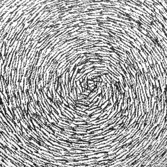 The Web of Life's Eternal Return