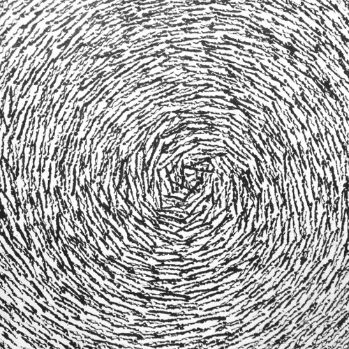 The Web of Life's Eternal Return