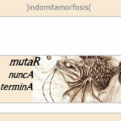 indomitamorfosis - 13. Amor Sin Amo