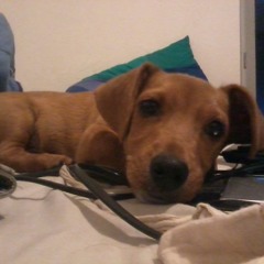 skwee- zEUS (juNgLe TRiP)