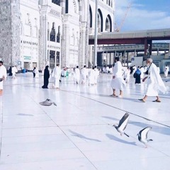 أذكار الصباح - ياسر الدوسري .