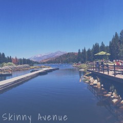Skinny Avenue