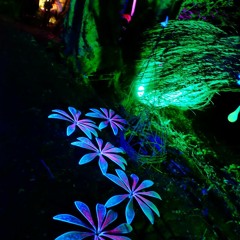 psybient / chill