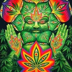 Medical Drop Bag Of Weed Preview (unmastered)