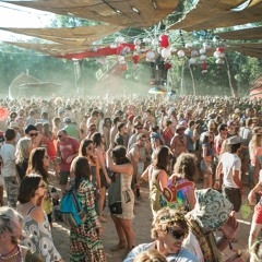 Jydn | Rainbow Serpent Festival Application 2017