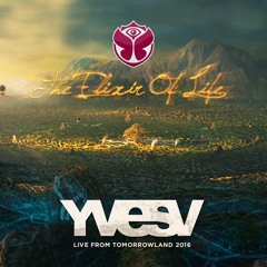 YVES V Live At Tomorrowland Belgium 2016