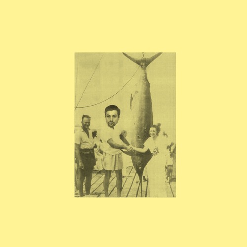 D.N. HÜRTER - ThatThatThat