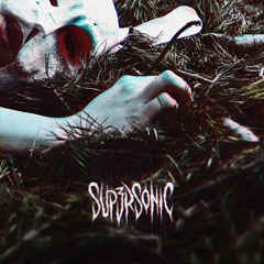 SUP3RSONIC - HIDDEN IN THE FOLIAGE