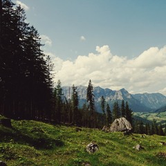 Forests Of The World: Gjørg Pjustäät - Berchtesgaden - Germany