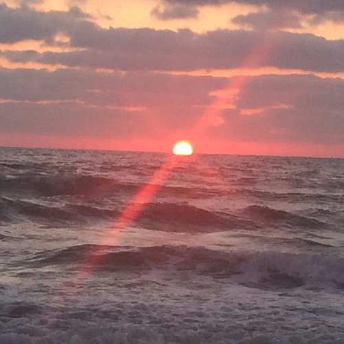 Stream Жираф by Olga Rezvanova | Listen online for free on SoundCloud